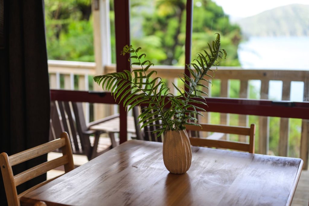 Looking out from the apartments toward the sound