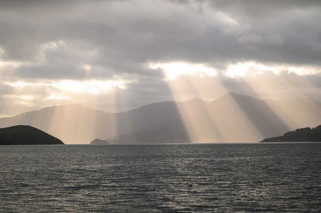 Te Rawa, Shared areas
