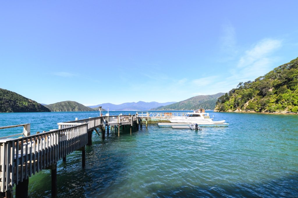 Te Rawa, Shared areas