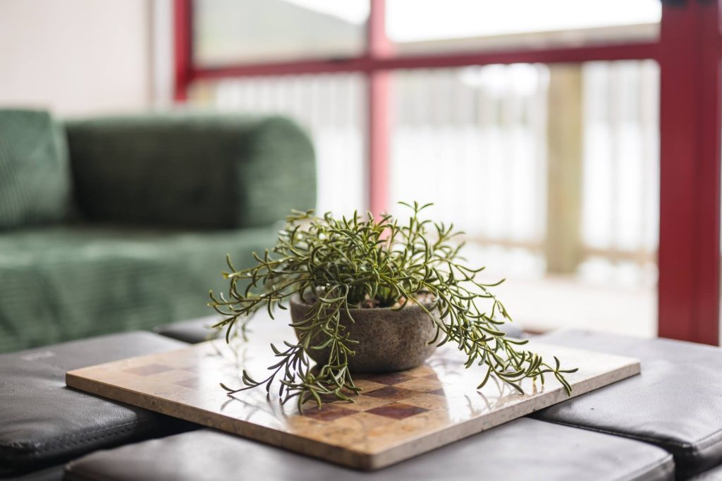 Te Rawa, Upstairs apartment