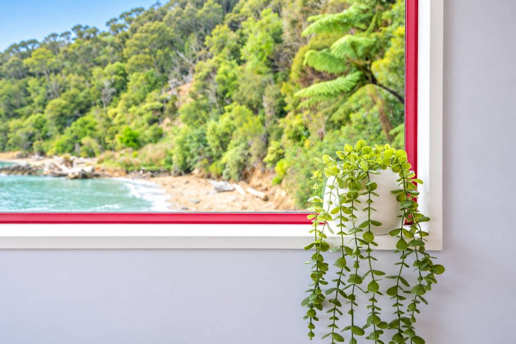 Bush and the bay through Weka's window